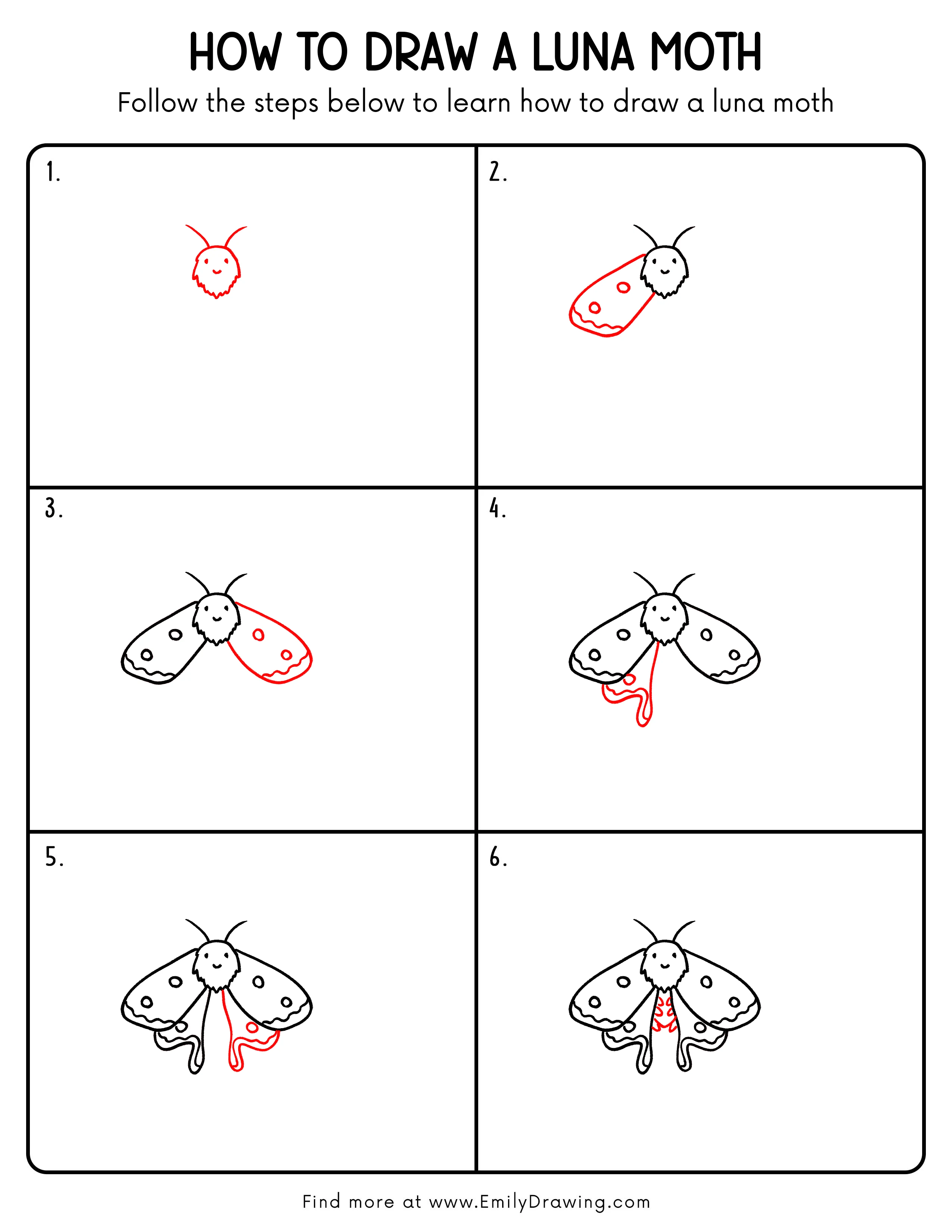 Printable Luna Moth Drawing Guide